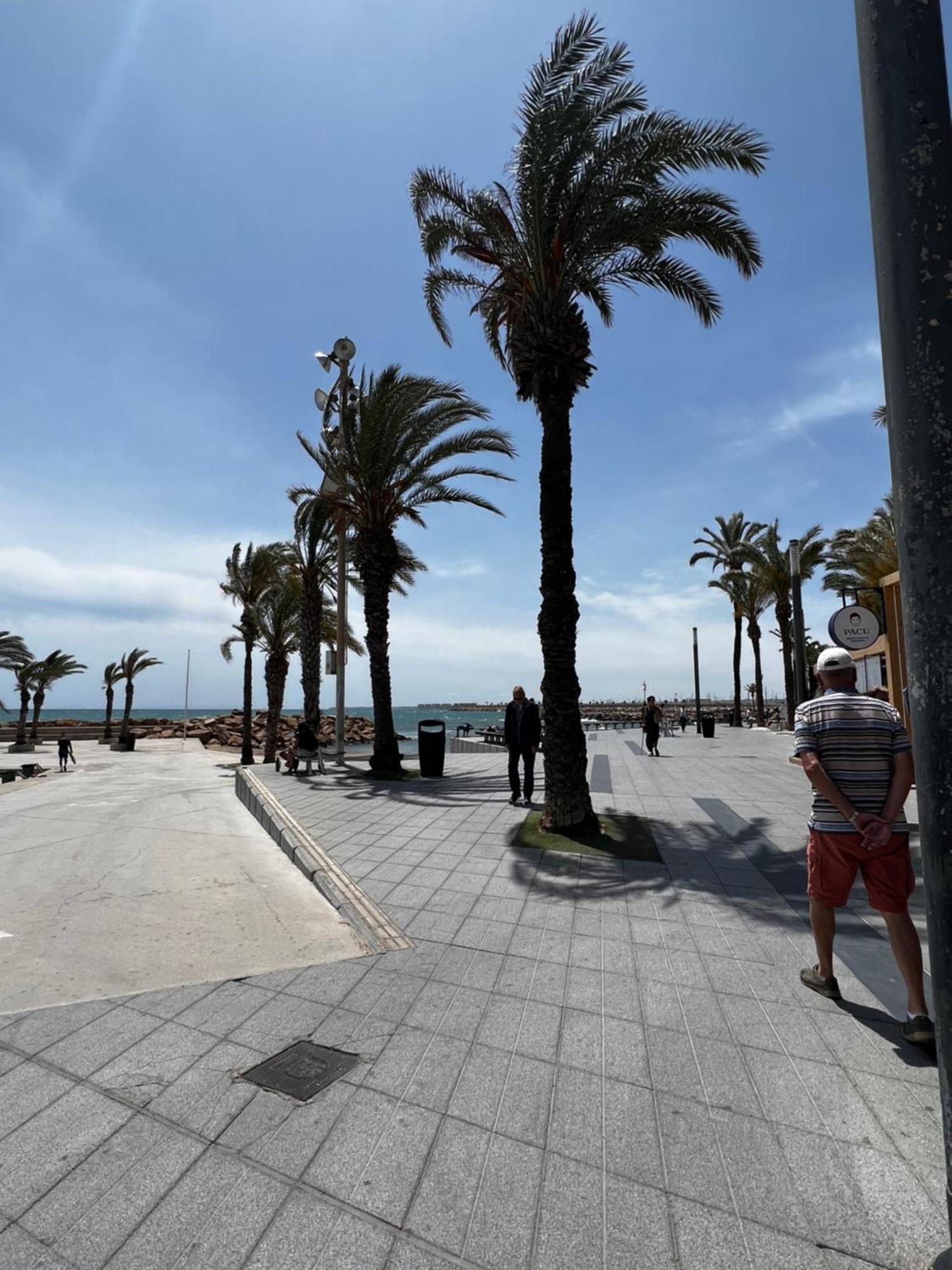 Sunset Playa Del Cura Daire Torrevieja Dış mekan fotoğraf